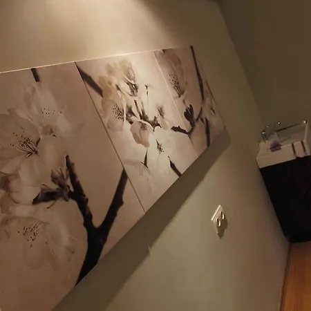 Kondo Suites מלון דירות